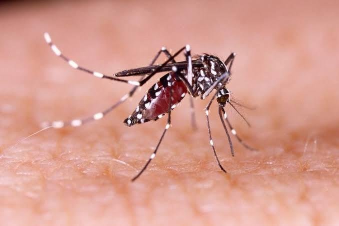 Kasus DBD Meningkat, Dokter Adi Ingatkan Masyarakat untuk Waspada