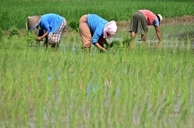 DPRD Kaltim Ajak Pemuda Ambil Peran Bangun Sektor Pertanian